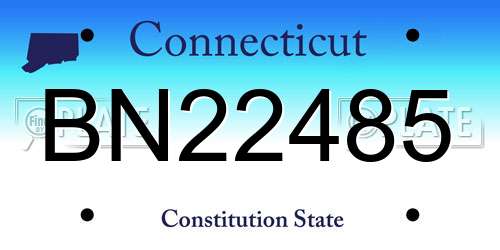 BN22485 Connecticut License Plate