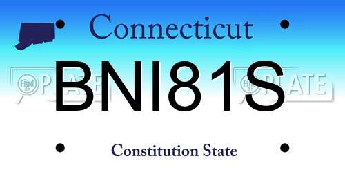 BNI81S Connecticut License Plate