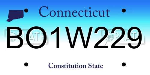 BO1W229 Connecticut License Plate