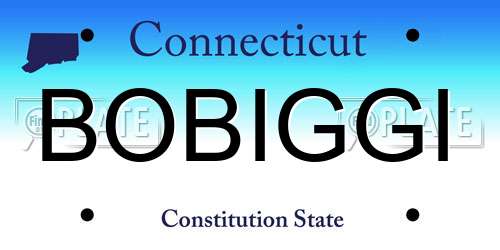 BOBIGGI Connecticut License Plate