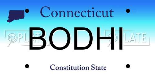 BODHI Connecticut License Plate