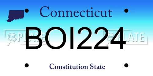 BOI224 Connecticut License Plate