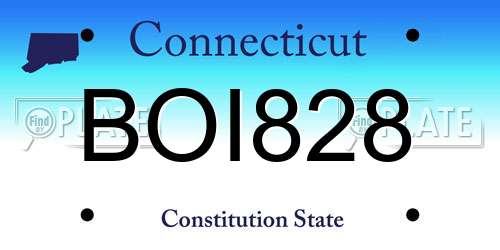 BOI828 Connecticut License Plate