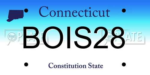 BOIS28 Connecticut License Plate