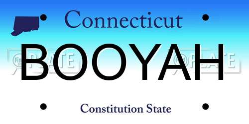 BOOYAH Connecticut License Plate