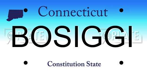 BOSIGGI Connecticut License Plate