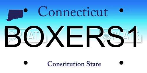 BOXERS1 Connecticut License Plate