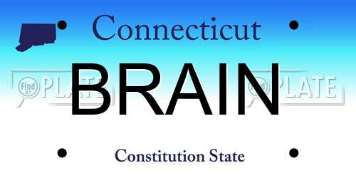 BRAIN Connecticut License Plate