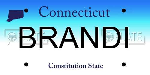 BRANDI Connecticut License Plate