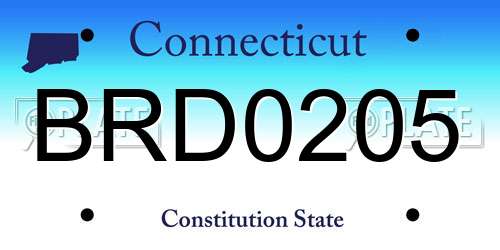 BRD0205 Connecticut License Plate