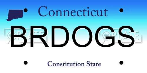 BRDOGS Connecticut License Plate