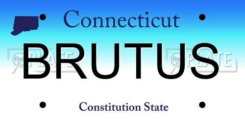 BRUTUS Connecticut License Plate
