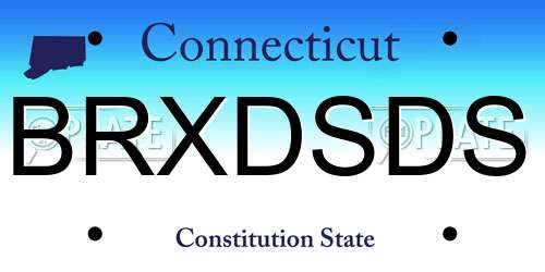BRXDSDS Connecticut License Plate