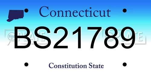 BS21789 Connecticut License Plate