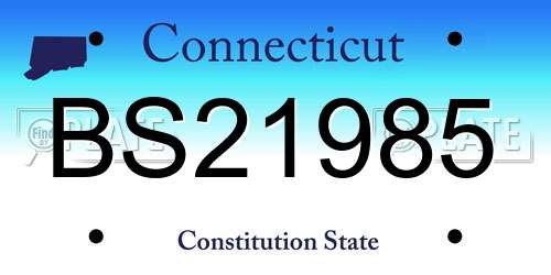 BS21985 Connecticut License Plate