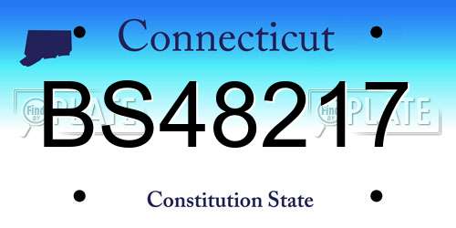 BS48217 Connecticut License Plate