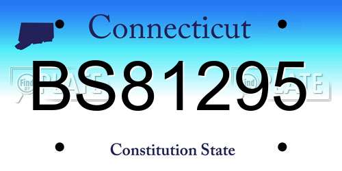 BS81295 Connecticut License Plate