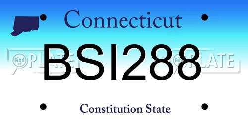 BSI288 Connecticut License Plate