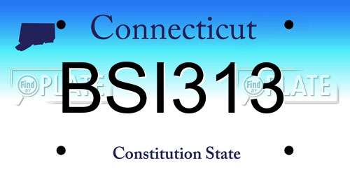 BSI313 Connecticut License Plate