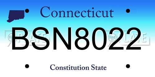 BSN8022 Connecticut License Plate
