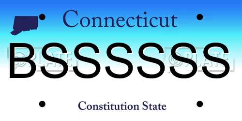 BSSSSSS Connecticut License Plate
