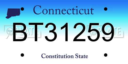 BT31259 Connecticut License Plate