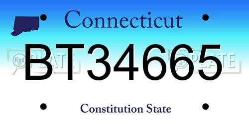 BT34665 Connecticut License Plate