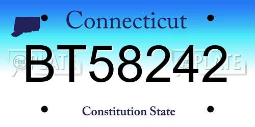 BT58242 Connecticut License Plate