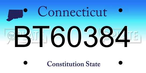 BT60384 Connecticut License Plate