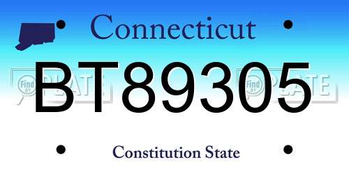 BT89305 Connecticut License Plate