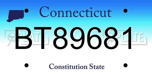 BT89681 Connecticut License Plate