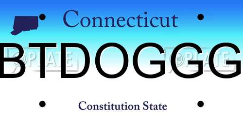BTDOGGG Connecticut License Plate