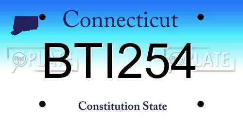 BTI254 Connecticut License Plate
