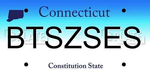 BTSZSES Connecticut License Plate