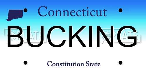BUCKING Connecticut License Plate