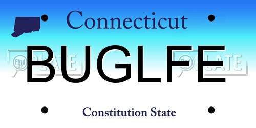 BUGLFE Connecticut License Plate