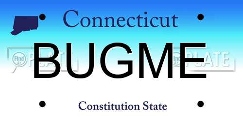 BUGME Connecticut License Plate