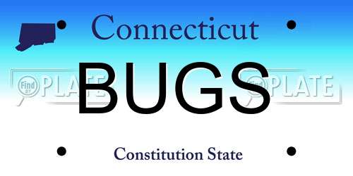 BUGS Connecticut License Plate