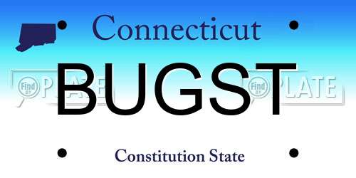 BUGST Connecticut License Plate