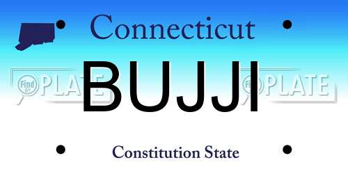 BUJJI Connecticut License Plate