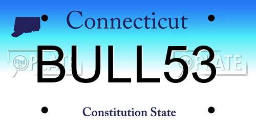 BULL53 Connecticut License Plate