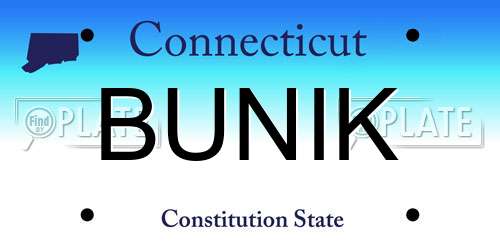 BUNIK Connecticut License Plate