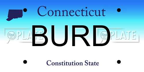 BURD Connecticut License Plate