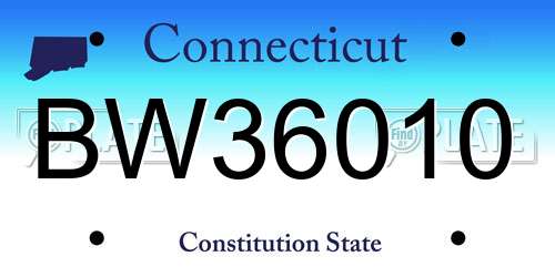 BW36010 Connecticut License Plate