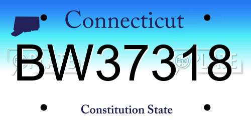 BW37318 Connecticut License Plate