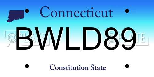 BWLD89 Connecticut License Plate