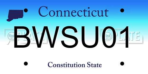 BWSU01 Connecticut License Plate