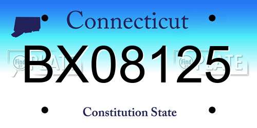 BX08125 Connecticut License Plate