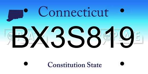BX3S819 Connecticut License Plate