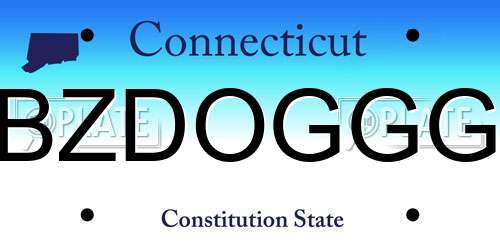 BZDOGGG Connecticut License Plate